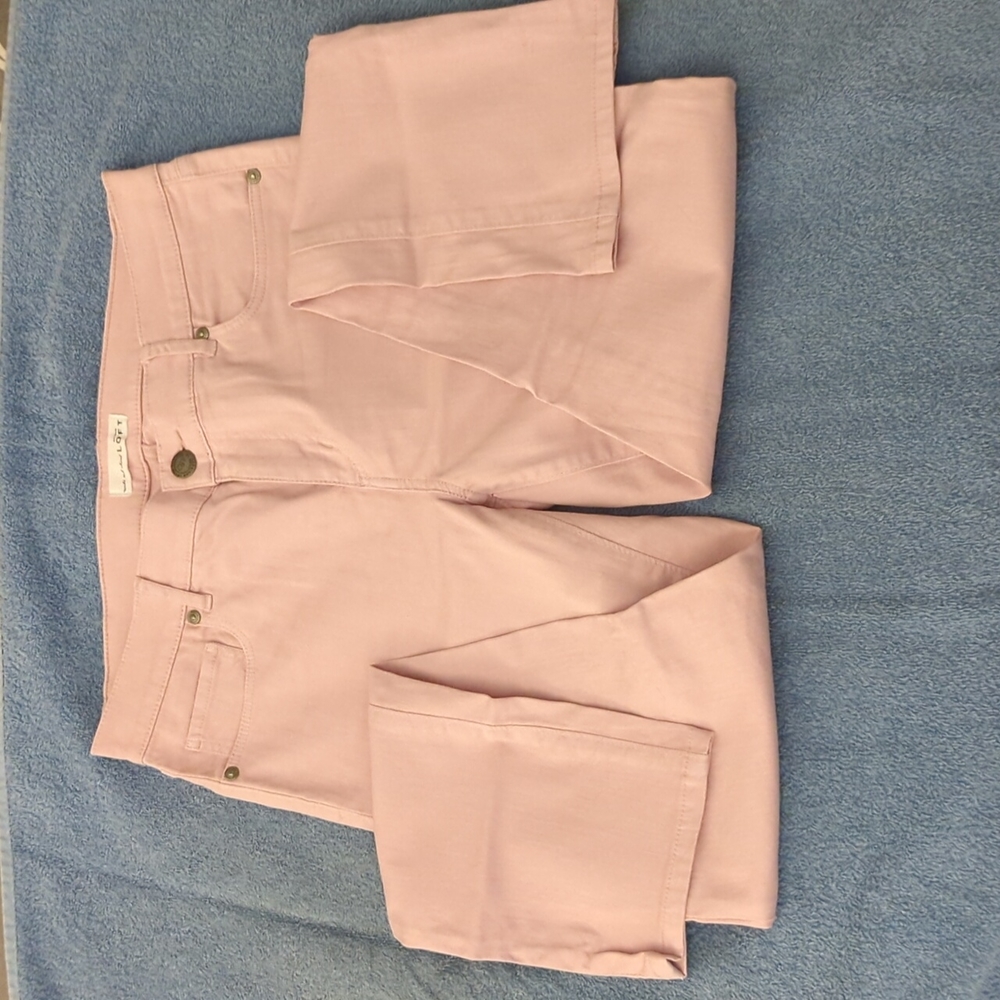 LOFT skinny cropped pants size 28/6